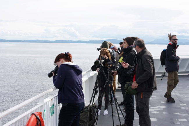 observation-ornithologique-vancouver